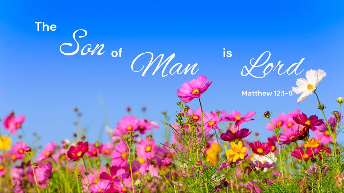 Good morning everyone 🌅 Have a lovely day!
🙏❤️🙏