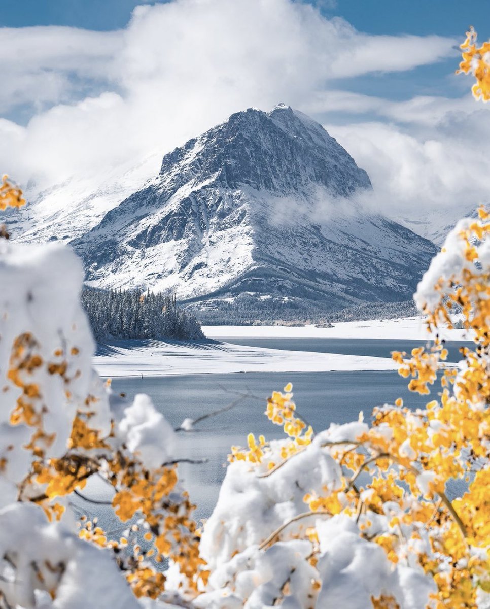 deepsoulnature's tweet photo. Seasons in transition 🍂⛄️🌼 https://t.co/NVmX3htCbK
