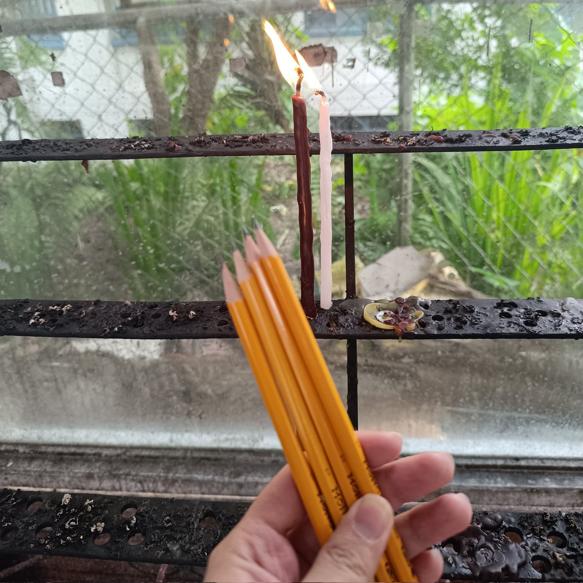 𝐯𝐞𝐧, 𝐑𝐏𝐦 🌈 tweet media