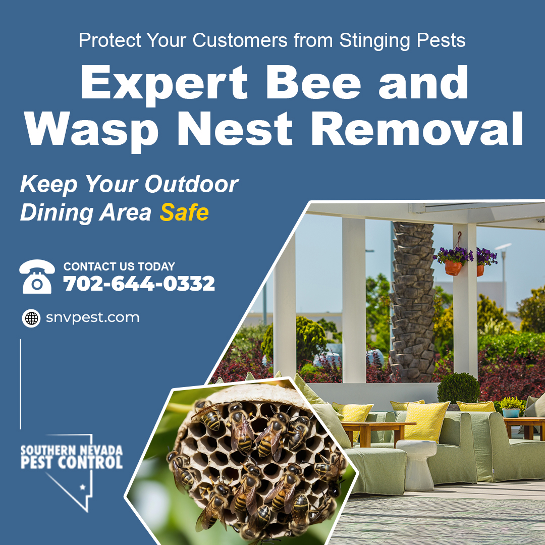 SNVPest's tweet image. During the scorching Las Vegas summer, bees and wasps flock to outdoor seating areas. Don&apos;t let them ruin your patrons&apos; dining experience! #SouthernNevadaPestControl specializes in safe, effective bee and wasp nest removal. 📞702-644-0332 or visit snvpest.com.