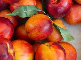 alwriting's tweet image. It's Poetry Friday and this time I'm celebrating nectarines! A poem based on a memory and prompted by a recent conversation. Poets respond...
alanjwrightpoetrypizzazz.blogspot.com/2024/07/a-poem…
#poetryfriday #narrativeverse