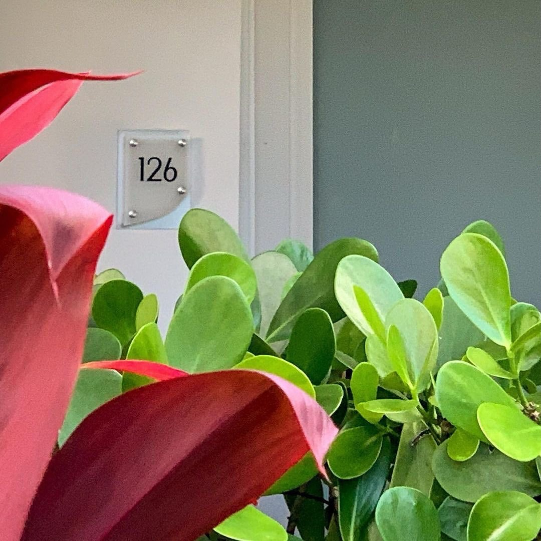 VagabondMiami's tweet photo. Your room is ready! It’s staycation time, so why not check into this laid back, lush Midcentury gem. https://t.co/CX7dM0Jk66