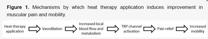 Muscles_MDPI's tweet image. #NewPublication🥳
Current Indications and Future Direction in Heat Therapy for Musculoskeletal Pain: A Narrative Review 

✍️by Gustavo Zanoli @guszanoli et al.

👉mdpi.com/2813-0413/3/3/…
#HeatTherapy #MusculoskeletalPain #Sports #KneePain