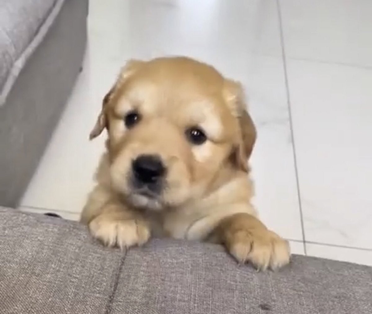 takemybear 🐶 tweet media