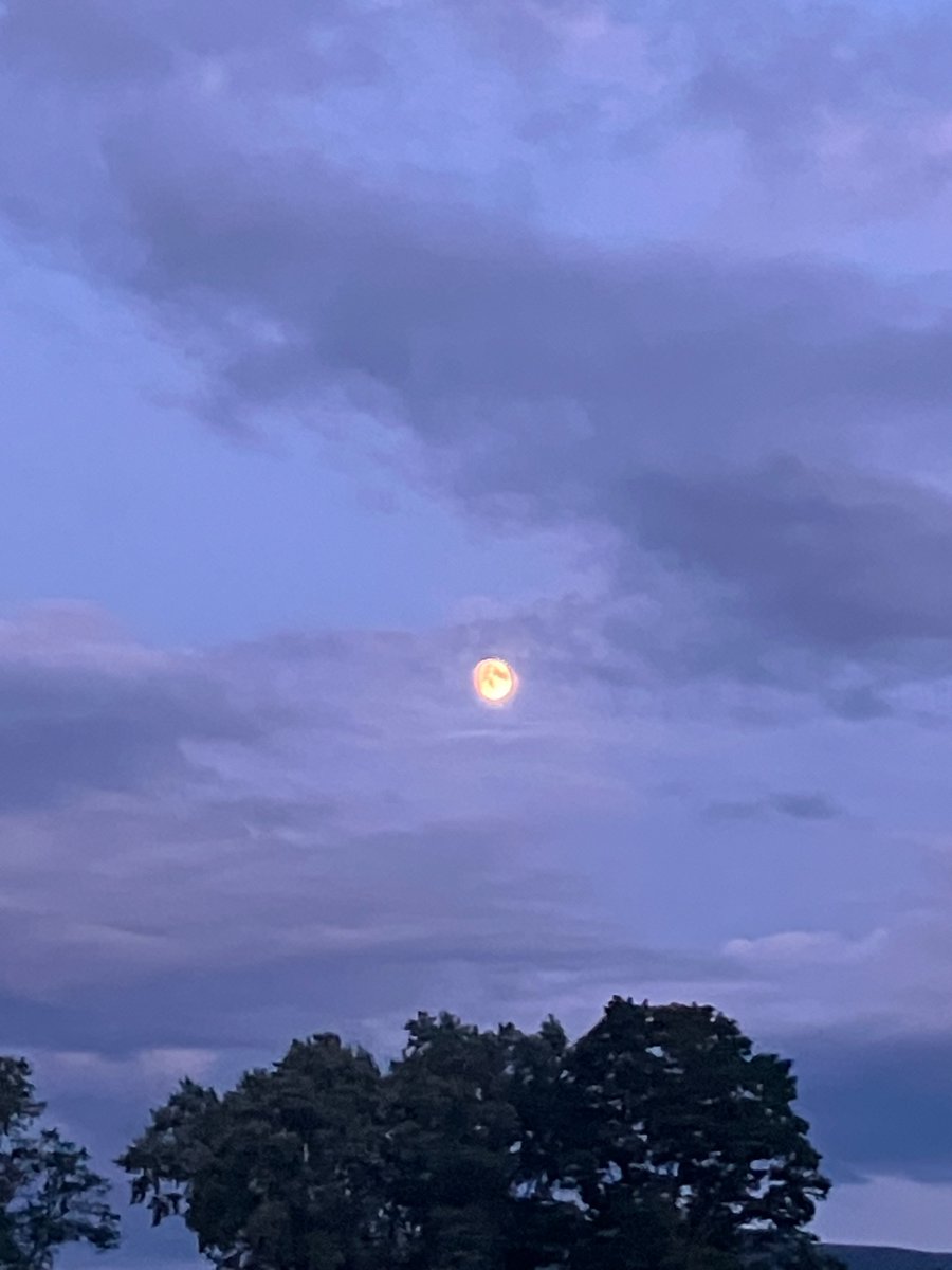 em ᰔᩚ tweet media