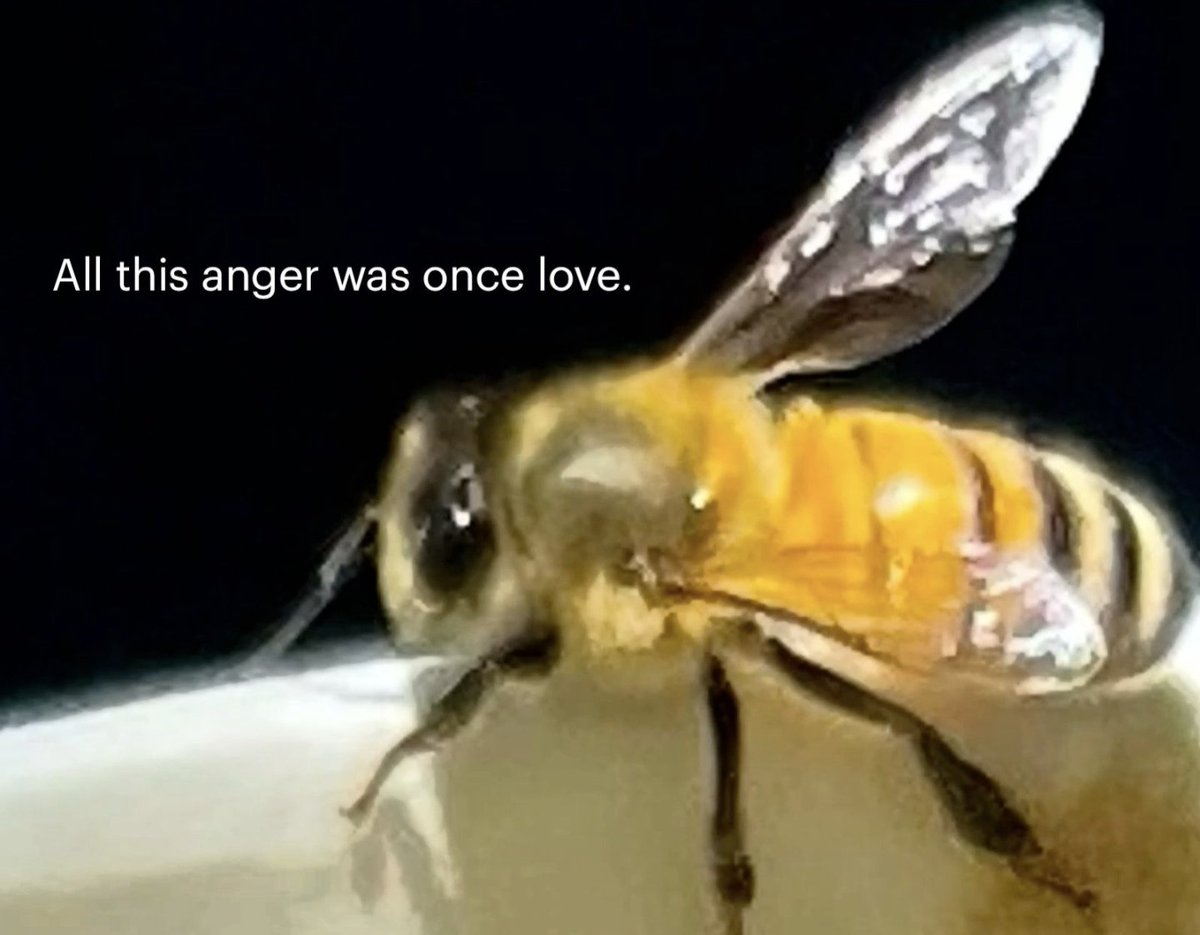 Ellie TTGx (@ripplevench) on Twitter photo 