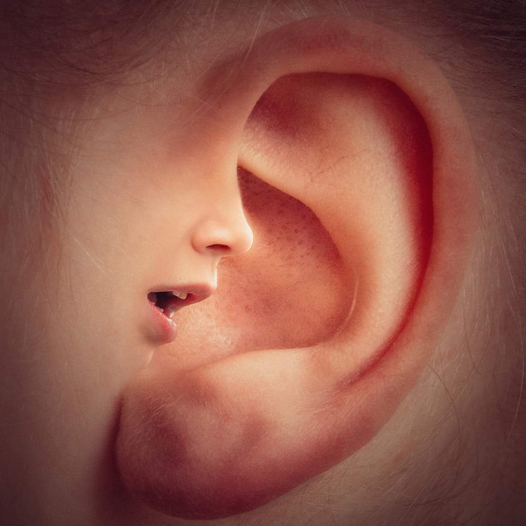 Donna52487869's tweet image. Do not let the devil whisper in your ear..he will come to you looking like an angel of The Lord..
#StayPrayedUp #TrustGodsWord
#ThingsRNotWhatAsTheySeem

2 Corinthians 11:13-14 KJV 
“For such are false apostles, deceitful workers, transforming themselves into the apostles of