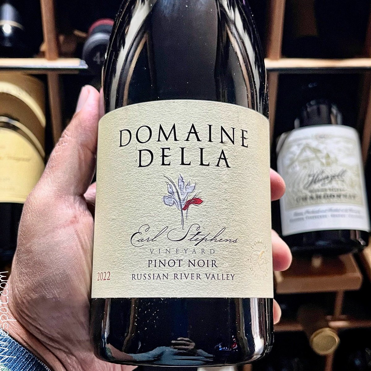 myvinespot's tweet photo. @Domaine_Della ’22 Earl Stephens #RRV Pinot Noir: Drop-dead gorgeous, showcasing inviting raspberry &amp; perfume aromas. Generous red fruit flavors, accented w/ plum, gentle spice &amp; orange zest—held together w/ a firm acidity. Hint of citrus peel lingers on the finish. #PinkSociety https://t.co/kctyPyCyc3