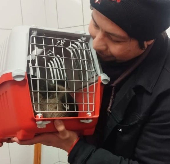 metrodesantiago's tweet photo. 22:00 hrs. Finalizamos la jornada en X con un ¡Final feliz! 🥳❤️

Bautizado por su nuevo amigo humano, como Rin Rin. El conejito rescatado esta mañana encontró nuevo hogar 🐰😍 Fue adoptado por un trabajador de los equipos de Metro, quien le dará mucho amor, agüita y heno 🤭

Nos leemos mañana desde las 6 AM, recuerda que las estaciones cierran a las 23 hrs.