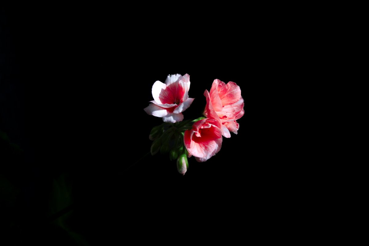 Crokc_Giovani's tweet photo. contraste
Shutter Speed
1/1250 second
Aperture
F/5.6
Focal Length
55 mm
ISO Speed
800 https://t.co/tTpGMTeUgF