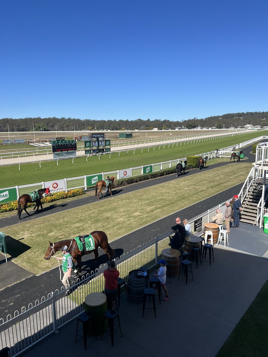 Brodie Nickson tweet media