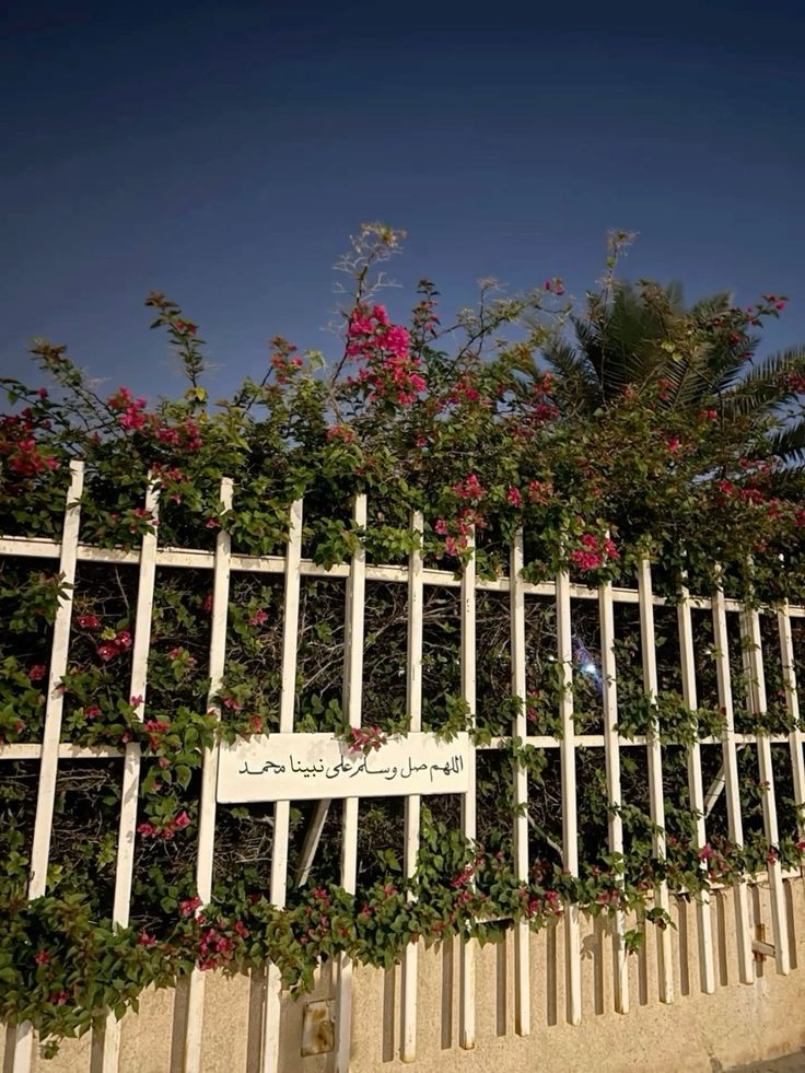 shahiduh🕷️ (@_shoo24) on Twitter photo 