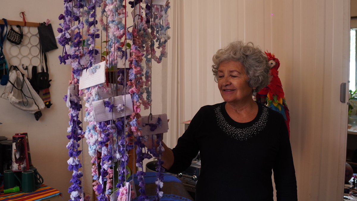 aldeapinwino tweet media