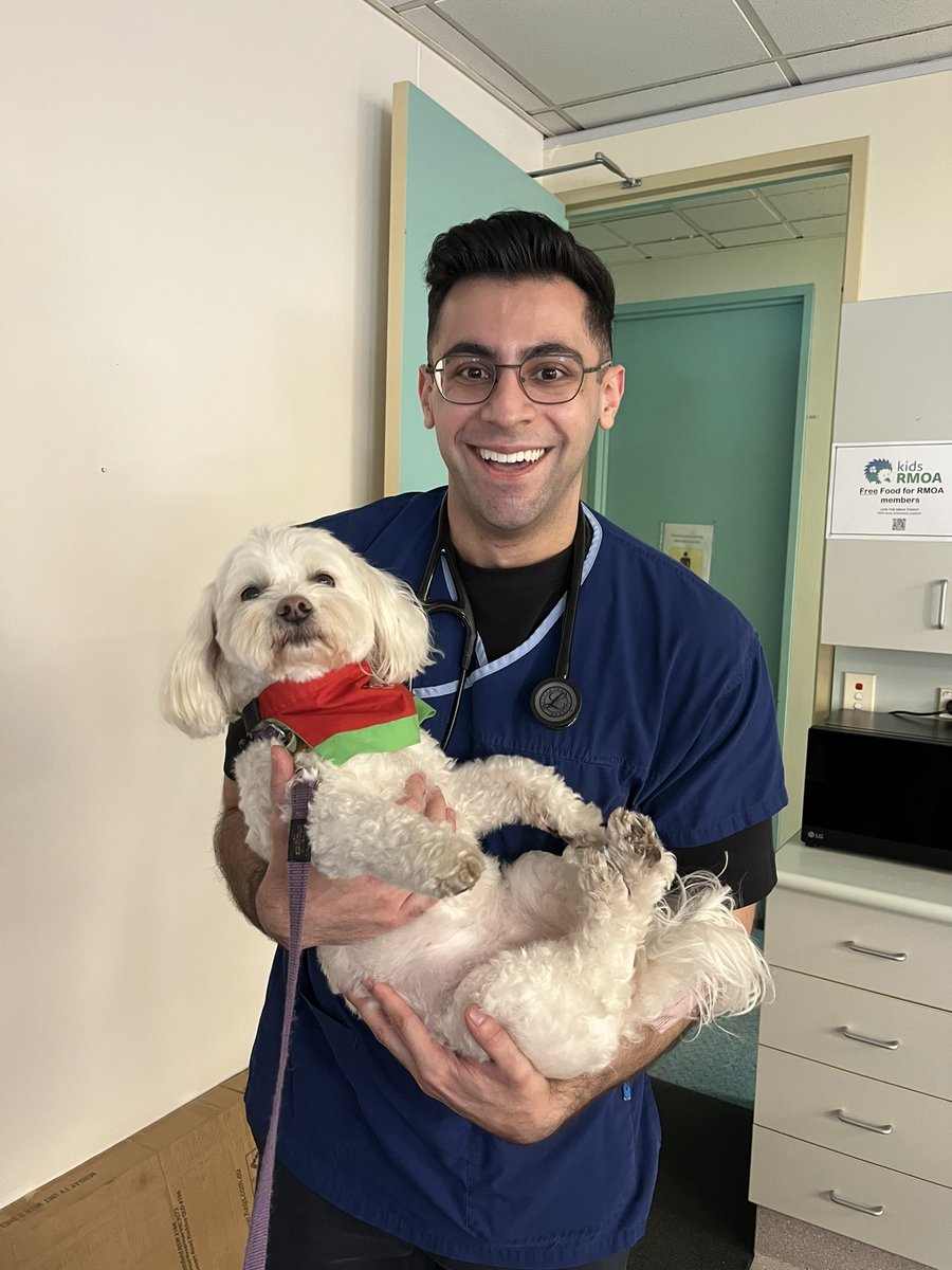 Devin Deo tweet media