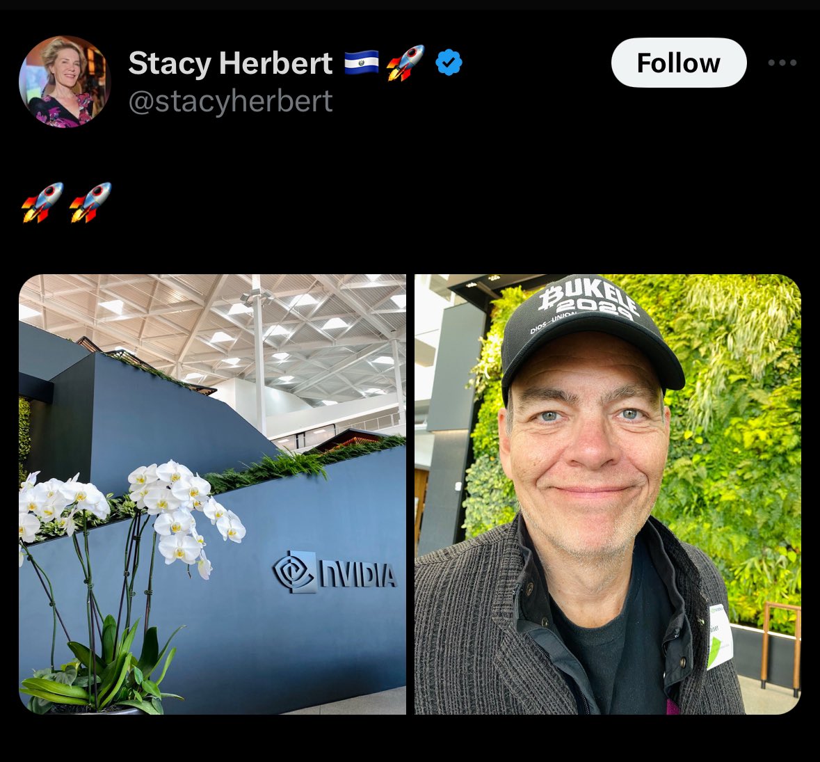 BitcoinNewsCom's tweet photo. Are Max and Stacy orange pilling Nvidia? 👀 https://t.co/jCqQYYwbOM