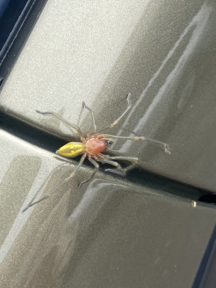 今日は久々に20℃と過ごしやすい気温です。 車に乗ろうとすると、見た