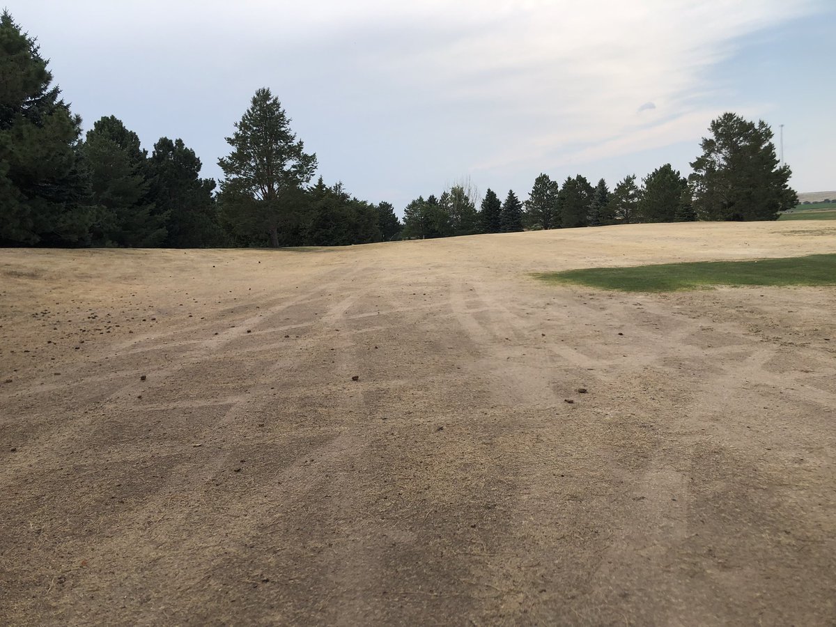 This is looking down the fairway of hole 18 at the local course (Four Winds). Been a rough summer with well and sprinkler issues. #Needswater