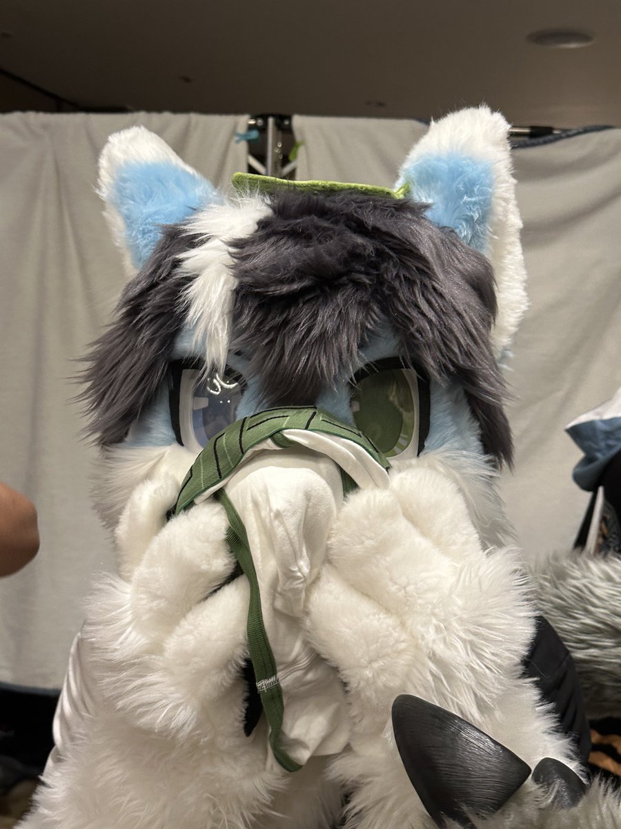 Chocopufurei's tweet photo. 「等等？ 你說你把什麼東西掛在我鼻子上？？」

#Fursuitfriday
📷：@You_Inulan https://t.co/jBlYM4aJbW