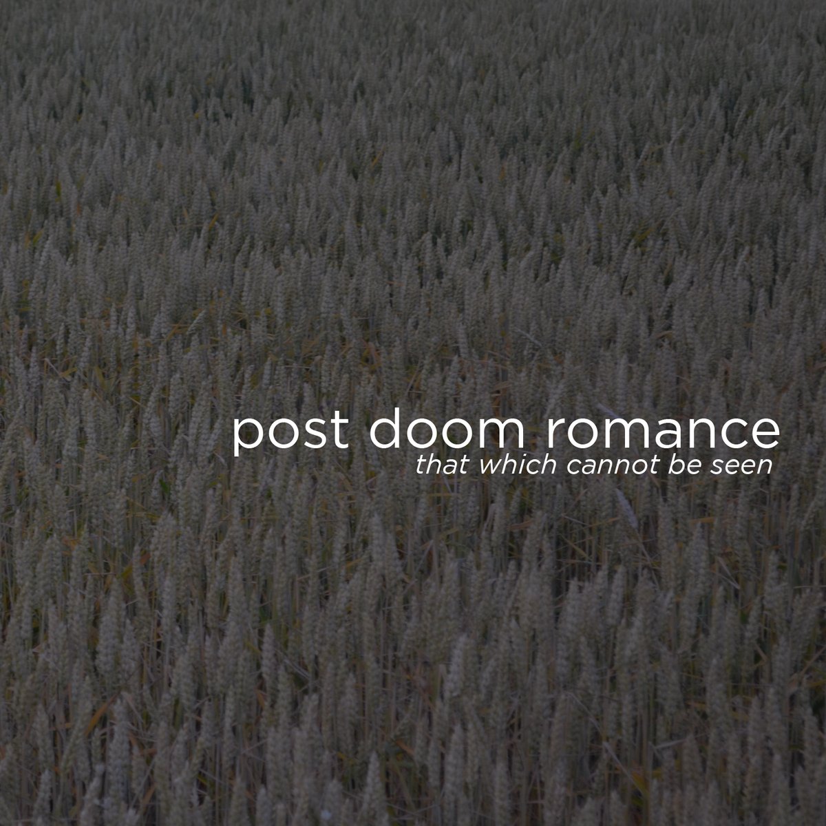 Somnimage tweet media