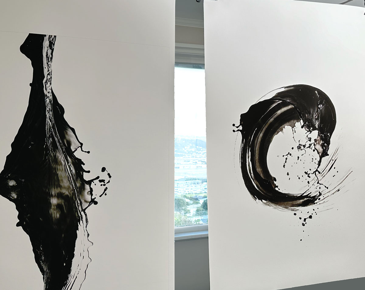 Shinichi Maruyama | AI/Art/Photography (@ShinichiMrym) / X