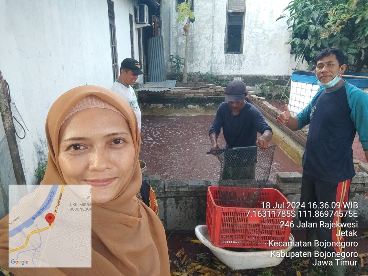 bett_alqi's tweet photo. Kamis (18/7), Baiti, Luhkan Bojonegoro, mendampingi #panen Lele di Bpk Bambang (Kel. Jetak), teknologi sederhana, sebanyak 103 kg, kolam beton luas 12 m², size 6 - 10 ek/kg, harga Rp. 19.000/kg
#GiatLuhkanSatminkalBWI
#Bnegoro 
@puslatluhkp
@bppsdm_bp3bwi https://t.co/d0U3fvHf1T