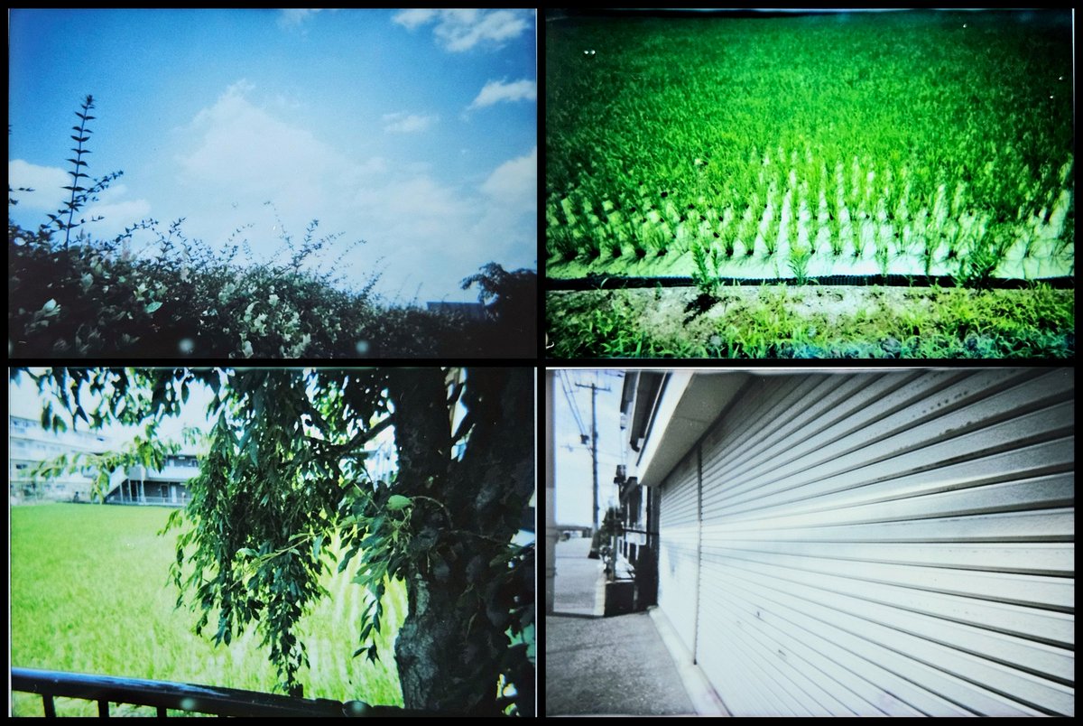 MSkywalker1C410's tweet photo. チェキフィルムでアホみたいな暑さを和らげてみました。

屋外はあくまでも爆アツなので皆さま暑さ対策は万全になさってください。

#INSTAX #PIXTOSS #toycamera #猛暑 #写真好き #lovecamera 
#散歩カメラ https://t.co/mtcB5Saoxd