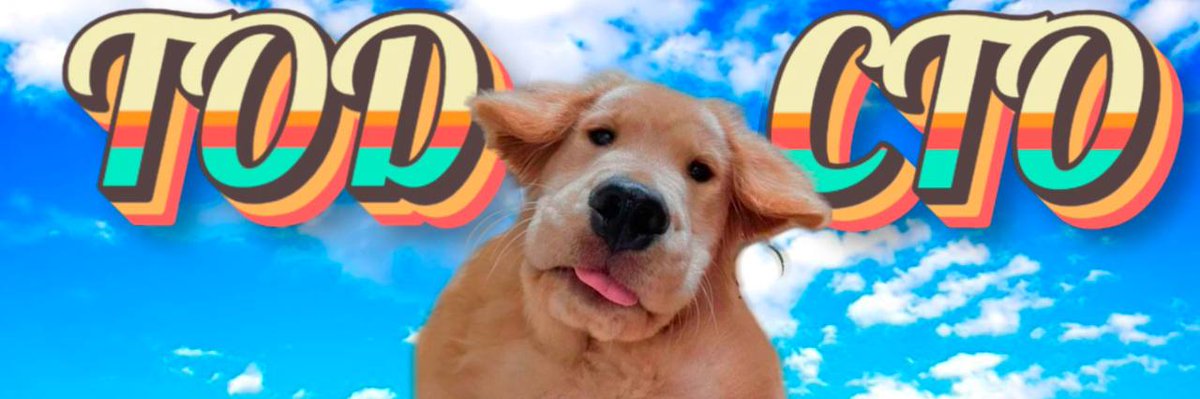 Satoshi_Sumo's tweet photo. @Noahhweb3 Tod says hi https://t.co/PbpCapJC6H