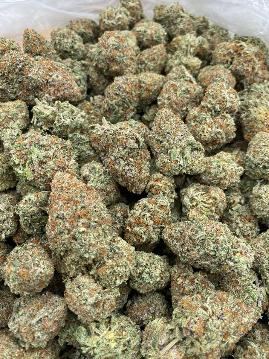 BubbaExotics's tweet image. -SUPER OREO