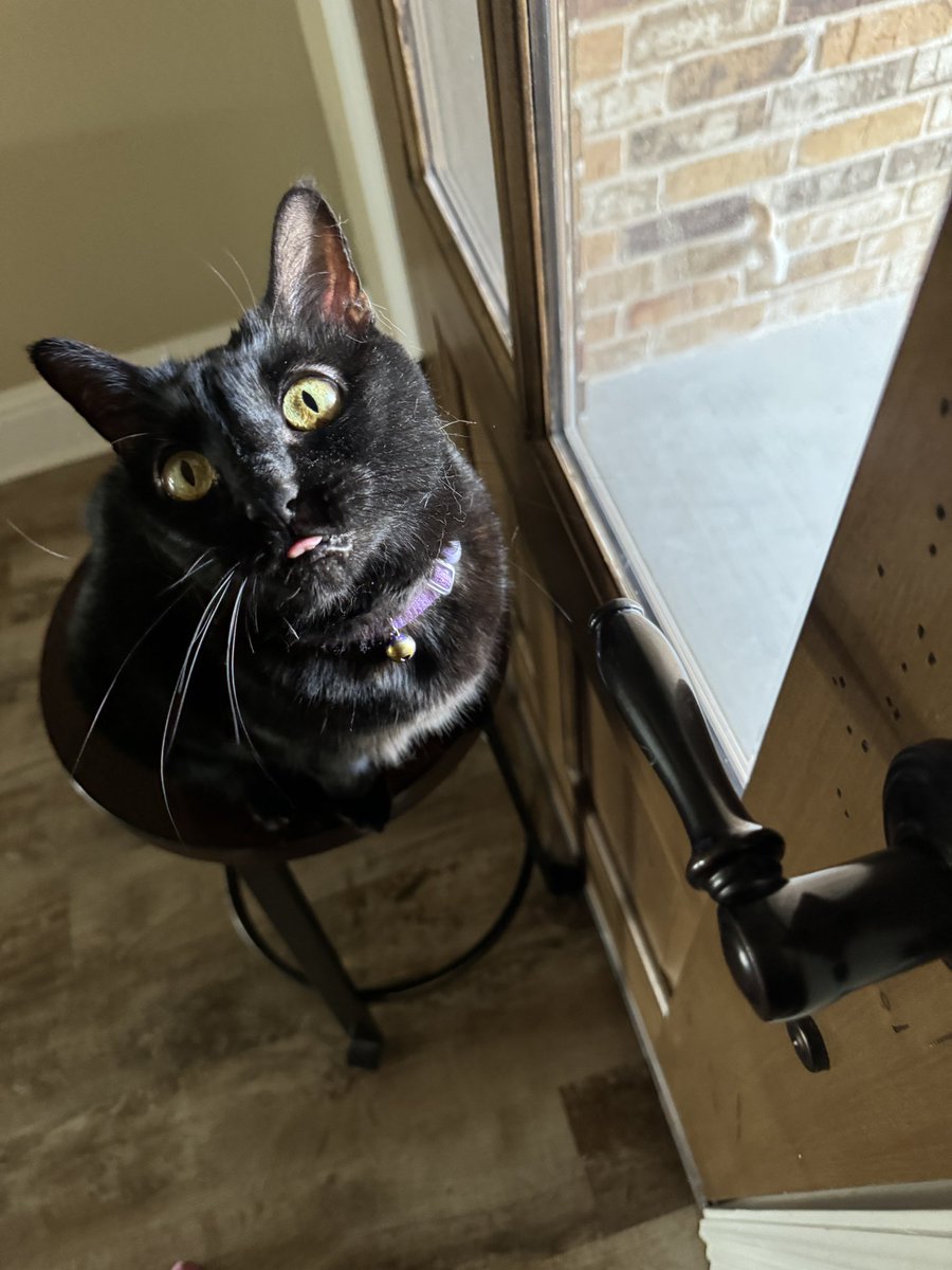 Alanis King tweet media