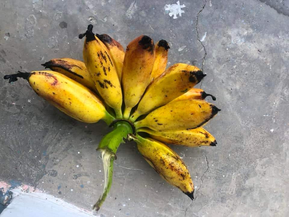 Dev नेपाली! tweet media