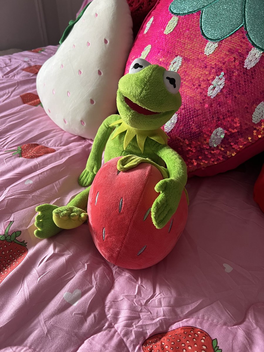 SarahRung's tweet photo. @girlascendant trying to make my place feel like that 🍓💕 also strawberries on the wall in the bathroom 🍓 https://t.co/9d6RLqsaty