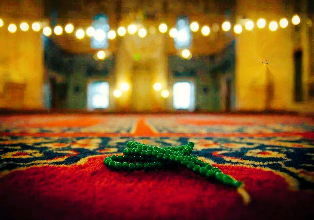 Hayırlı Cumalar 🌺

#Adalet mazlumu koruyamıyor ise
O Adalet değil işkencedir.

Ben neredeyim?
Ne yaptım? deme.
Ben hakka hukuka riayet ettim mi? de.

Adalet herkes için eşit olmalıdır.
Hayat o zaman yaşamaya değer olacaktır.

#HayırlıCumalar #Günaydın
#5000KısmiAffetmeyecek