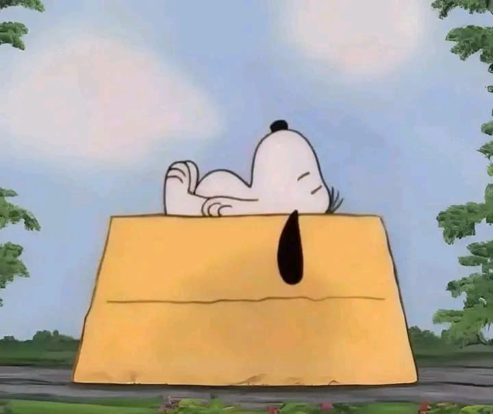 “me siento más alejado de todos pero mucho más cerca de mi”