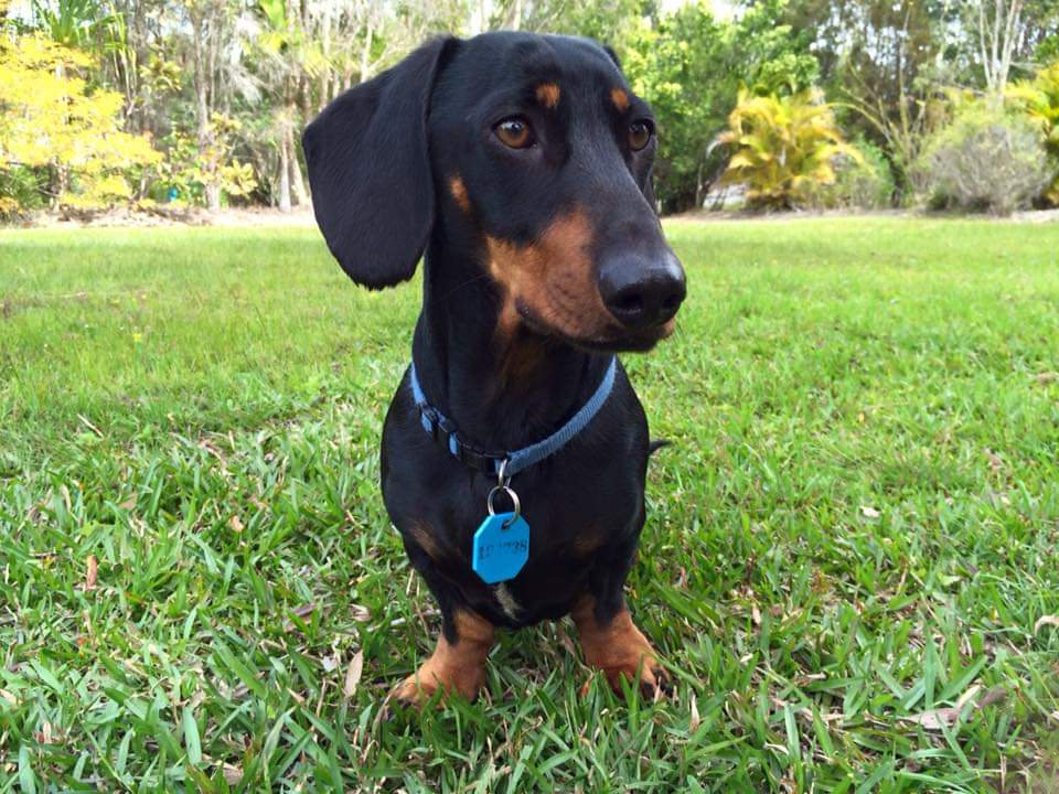 Darcy (bereal: @aussiedevfro) tweet media