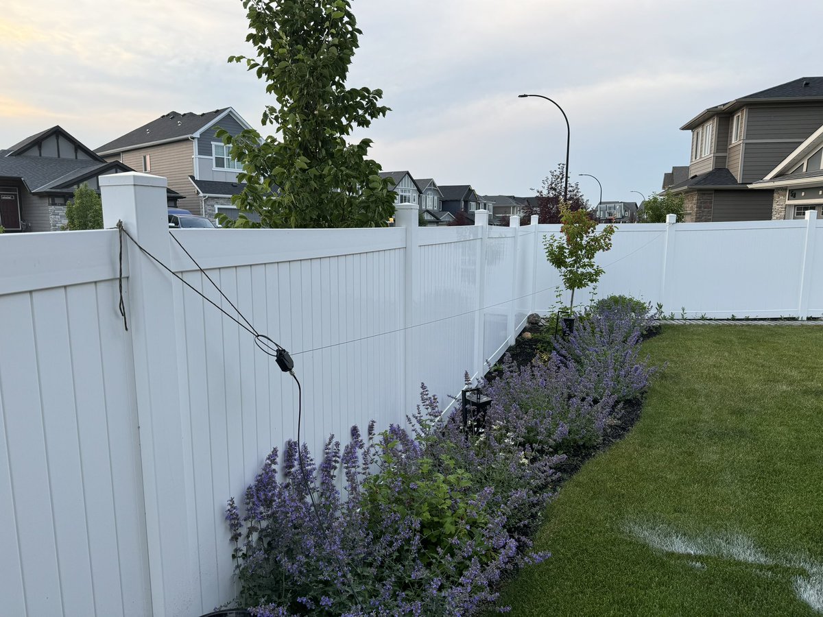 darron's tweet photo. Damn you @Brushbeater I’m hooked.

This is an expensive skill to learn.

But I was able to put a few things together and found some CW signals on 20M with my G90.

I really enjoyed the training earlier this year. Thanks to you and @DolioJ I learned a ton.

#meatspace #gotrain https://t.co/oQMpJ4EPQY