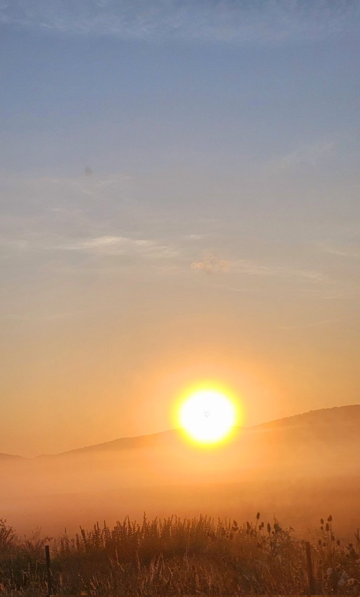 Der Nebel und die Sonne
Verspielt im Weserbergland
