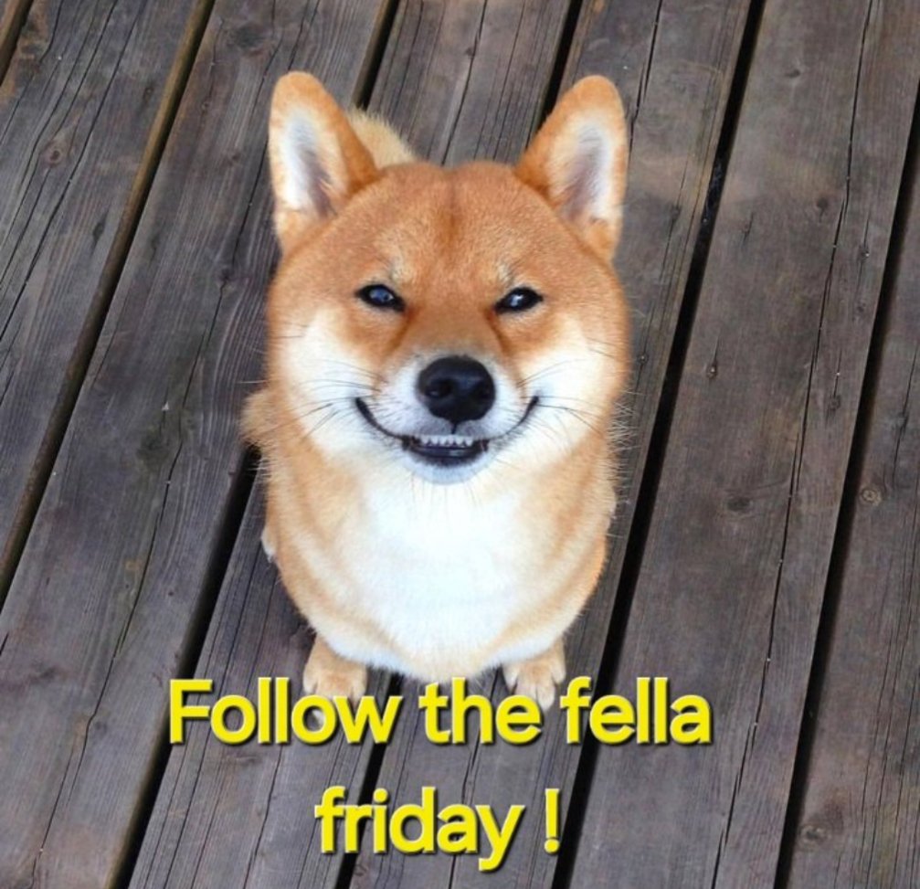 AndaVonWald's tweet photo. Happy #FollowFriday! 🎉 Let's connect 🚀 #FollowFellaFriday #NAFOfellas #NAFO https://t.co/OXJctq4veF
