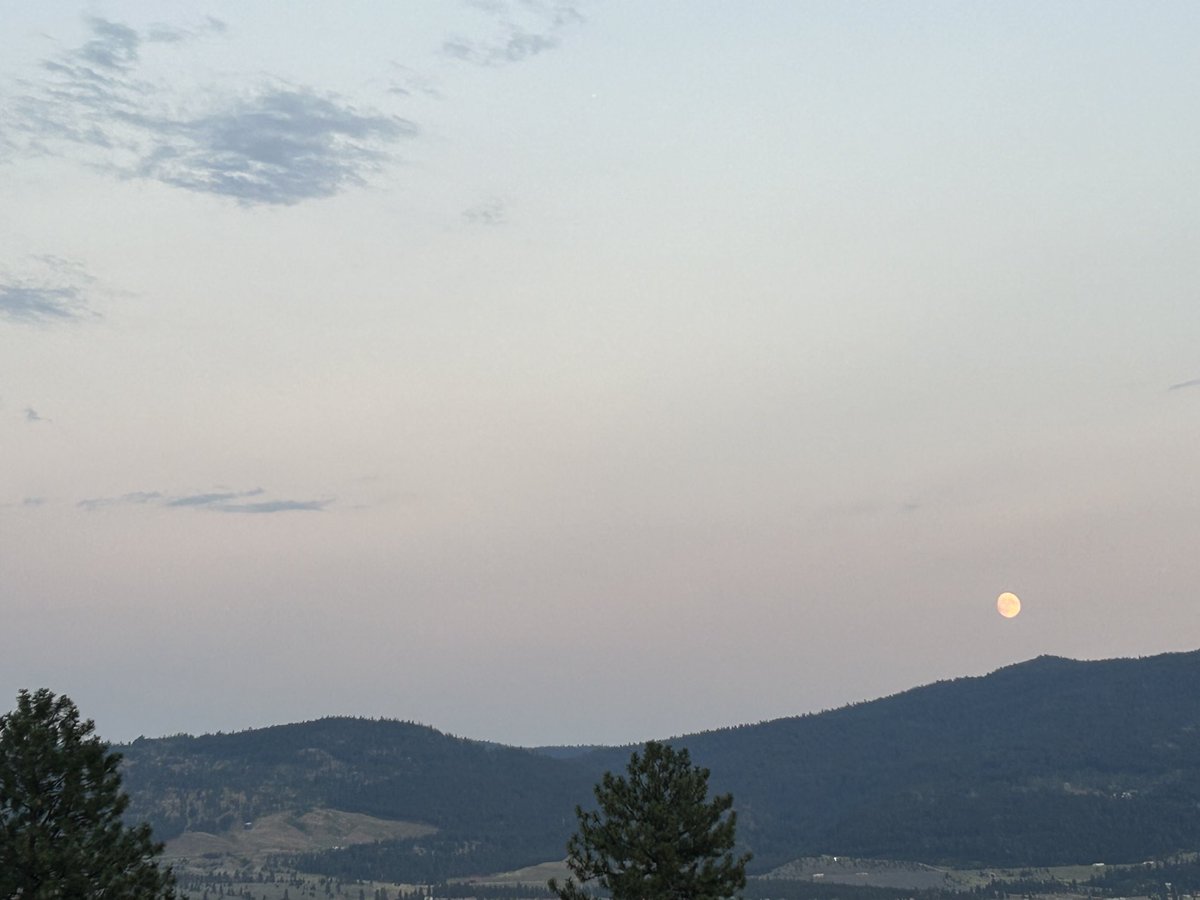 TreenaWood's tweet photo. A hazy moonrise https://t.co/GkUgSJ3sOR