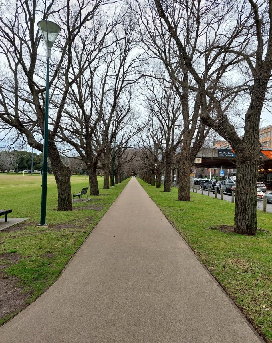 gemmasharp11's tweet photo. About a year later...bit colder at #FawknerPark #Melbourne near @AlfredHealth โ๏ธโ๏ธ Greetings for the end of your weeks ๐ @STMneurosci @MonashSTM @Monash_FMNHS @MonashUni https://t.co/gJRhNw91IH
