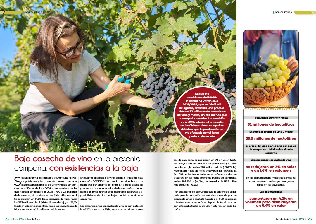 AsajaNacional's tweet photo. 🍇📉 Baja cosecha de vino en la presente campaña
Producción de 32 millones de hectolitros de vino y mosto, un 21% menos que la anterior. 
Descubre cómo la sequía ha afectado la producción y las existencias finales. 🌞🍷https://t.co/H82JPM5Qic https://t.co/AXpLnkwlZC