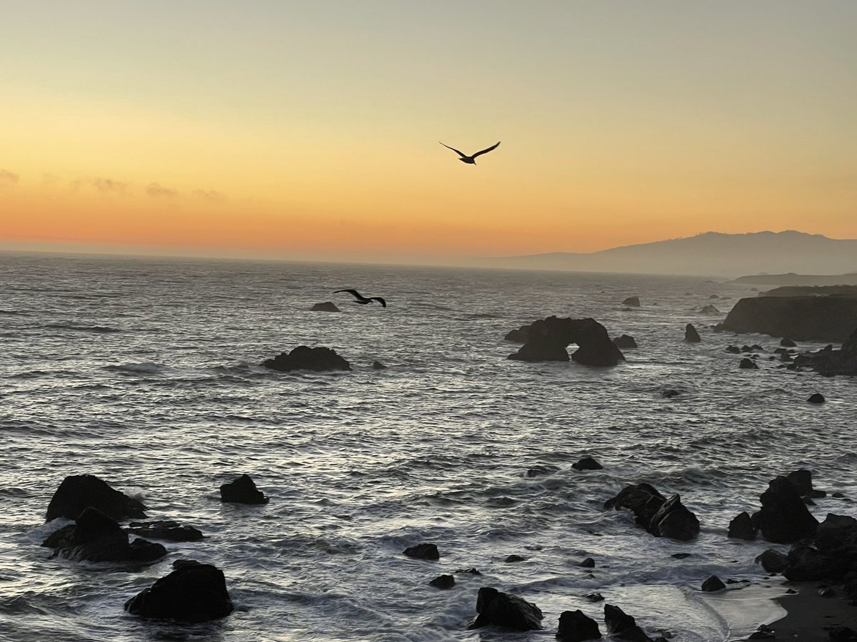 kelandren3's tweet image. The ocean is my happy place. So grateful to see a magical sunset at Portuguese Beach in #BodegaBay  I love the salty air, the misty breeze in my hair, my toes in the sand, the sound of the waves...it's exactly what I needed. 🤍