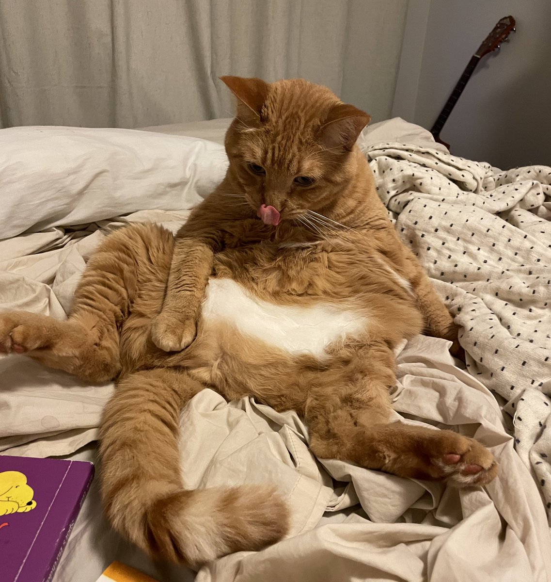 10/10 sitting, no notes