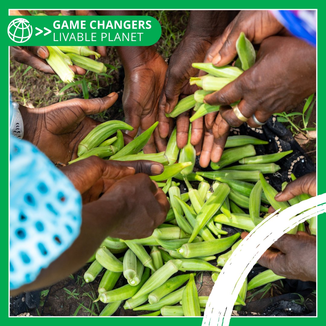WBG_ClimateEnv's tweet photo. By 2050, a booming global population will increase the demand for water and food. Adopting sustainable, climate-smart irrigation is not just a choice; it is a necessity for a #LivablePlanet. 🌍💧

Learn more: https://t.co/l2UNczv25a https://t.co/JZqr6Q61ZM