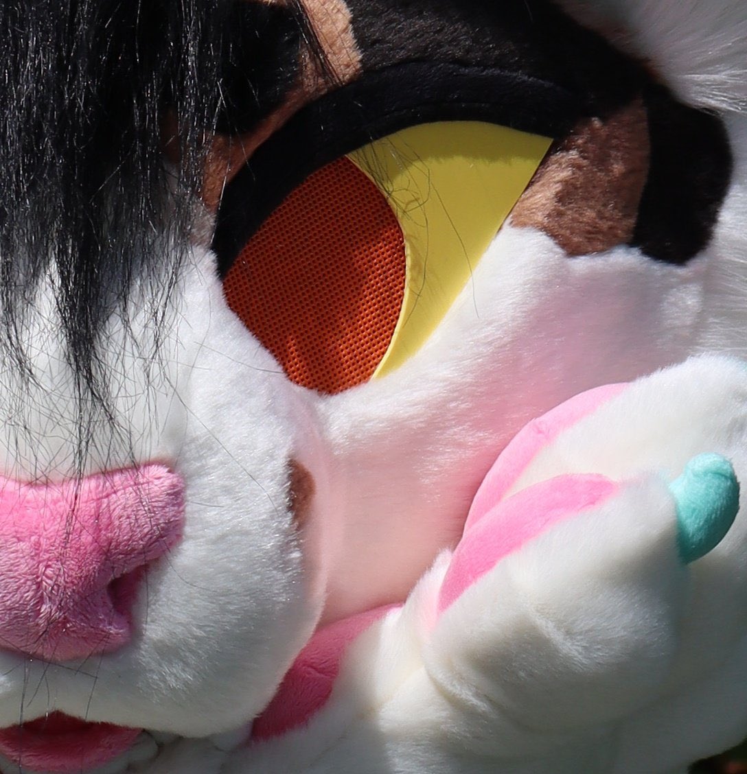 BADCAT.PNG tweet media