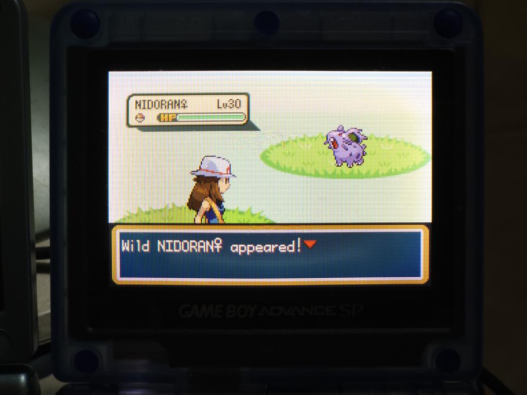 heinijen's tweet photo. I don't wanna leave safari zone even safari week was over. Shiny nidoran♀️ after 8660 REs in LeafGreen. https://t.co/GQtLBhN9Q5