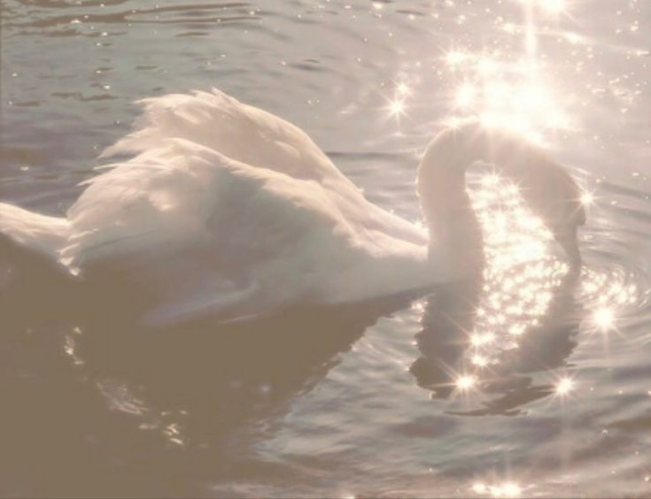 promotwt.⠀ bcs im copying kit⠀.⠀  .⠀  ✦̲    ♡
𝒢𝒞     jack.⠀      ｡ 𓎟𓎟⠀he⠀　̮ ̮⠀ trans⠀ ࣪⠀𓏵
        ╰┈➤ #pjsktwt / #prsktwt + #hsrtwt 
　℘　#hi3twt　𓈒　　♰　#genshintwt　　ೀ
♰　𓂃  ↻ / ♡ 2 spread.⠀