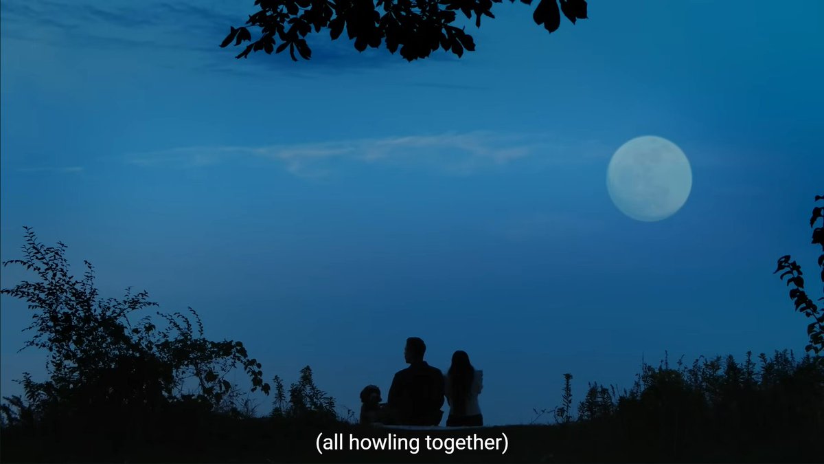 July 20: Moon 🌕
#Bales2024FilmChallenge
#MrPawsitivelyPerfect (2023)
Jace James' pep talk to Daisy Liu about letting go of her fears leads him to encourage her to let loose and howl at the moon with him and Patches, the foster dog that brought them together.