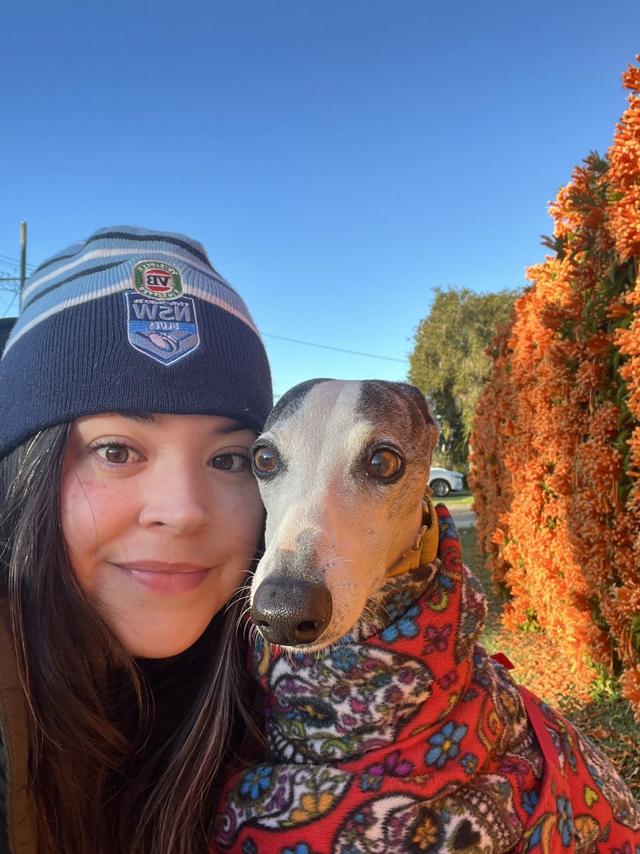 whippetsal's tweet photo. Been back in AU for about 6 months now, enjoying the typical winter day in Sydney with my boy. 
Missing HK slightly, mainly my friends and the restaurants. https://t.co/dNybtnNRIh