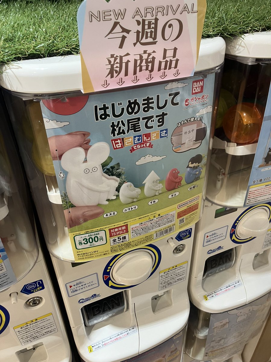 みつけたよーーー👀
松尾とタコでなかったー