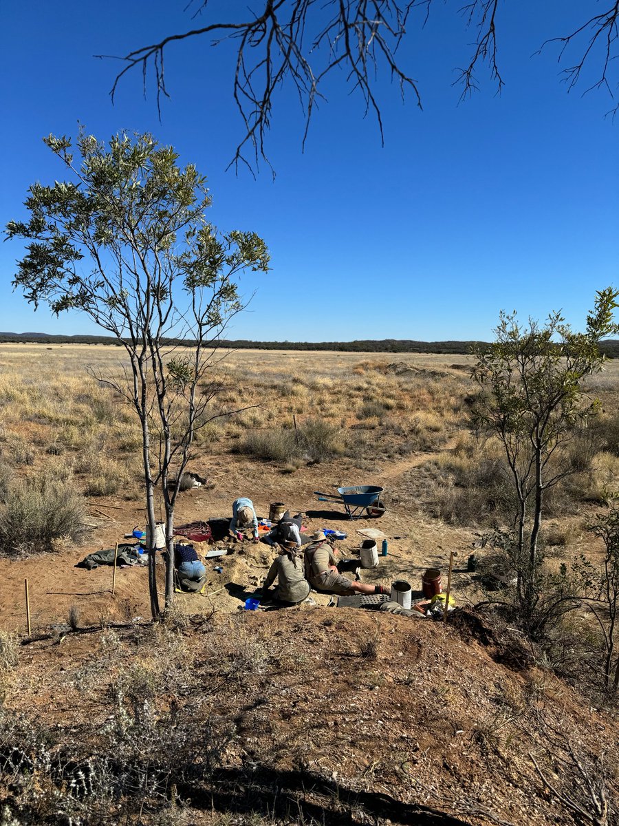 Museum and Art Gallery of the Northern Territory tweet media